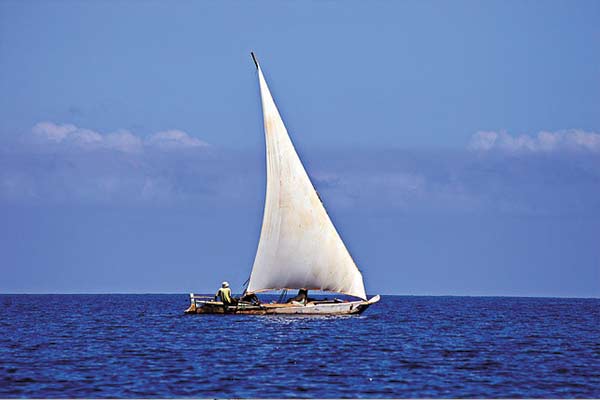 Nungwi beach Safari