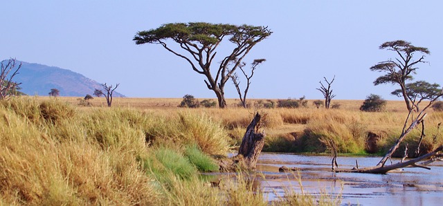 Ruaha National Park