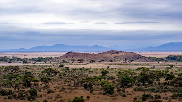 Best time for safaris in Tanzania