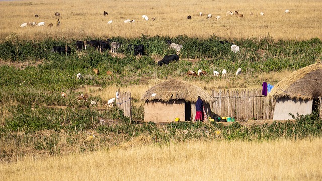Do I need special gear for safaris?