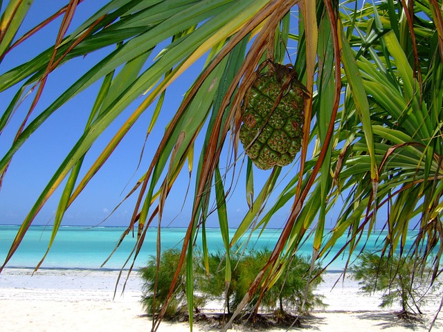 Accommodation options in Zanzibar