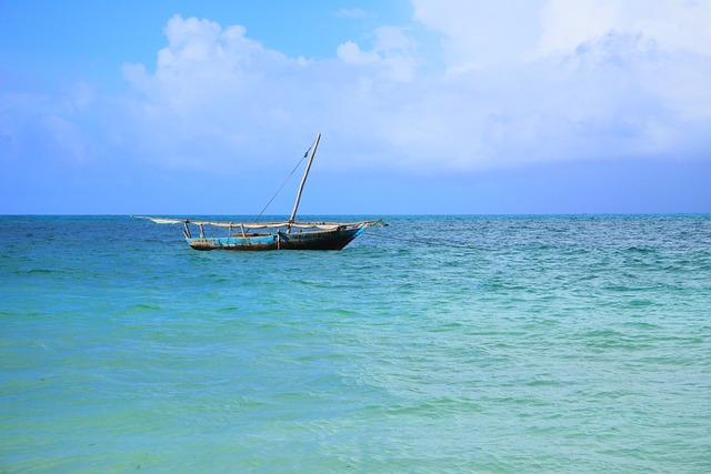 Health precautions for Zanzibar trips