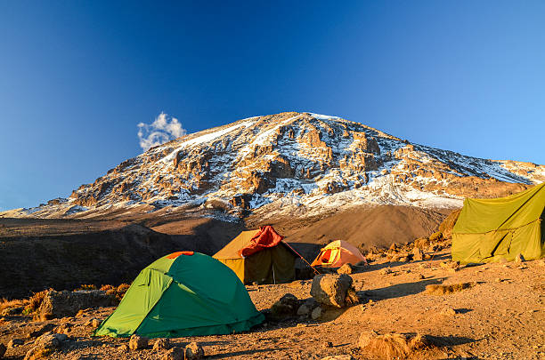 Kilimanjaro Base Camp Experience - Mandara Hut Trek