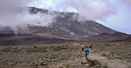 Kilimanjaro Base Camp Experience - Mandara Hut Trek main image