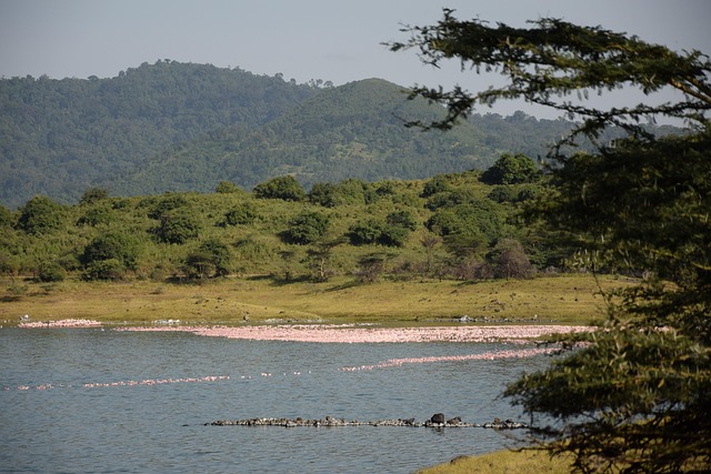 Arusha, Serengeti, Ngorongoro Crater & Lake Manyara main image