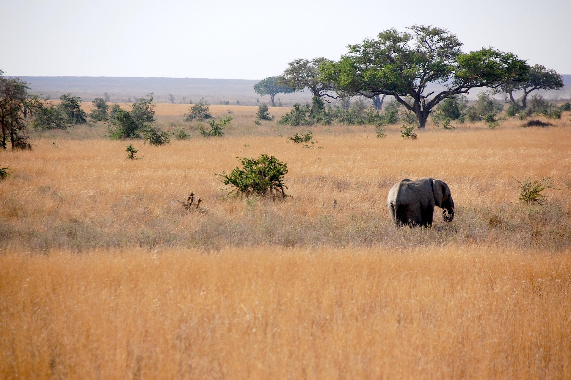 Lake Manyara National Park