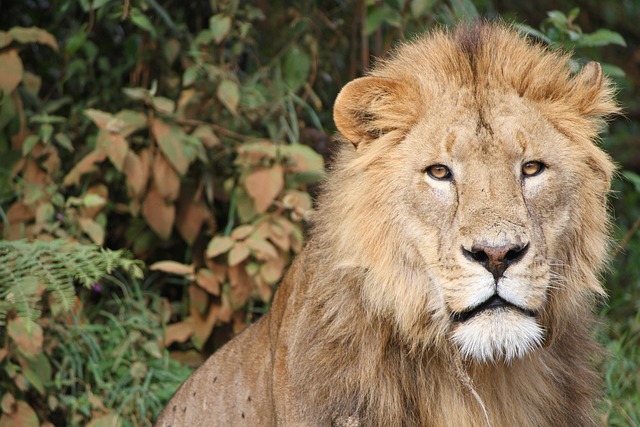 Tarangire National Park