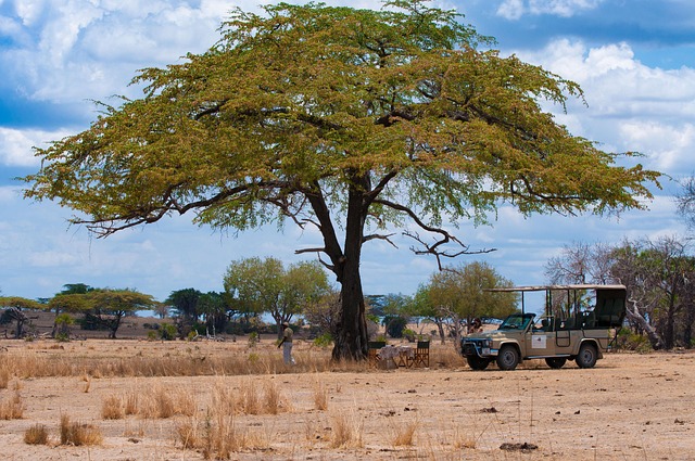Lake Manyara, Lake Natron, Serengeti, Ngorongoro National park and Tarangire. gallery image