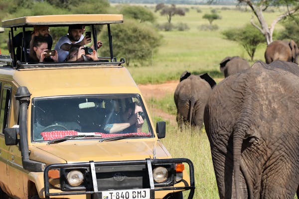 The best Nyerere, Mikumi, Ruaha and Udzungwa Mountains main image