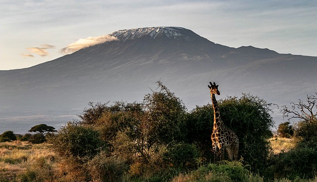 Umbwe route trekking adventures