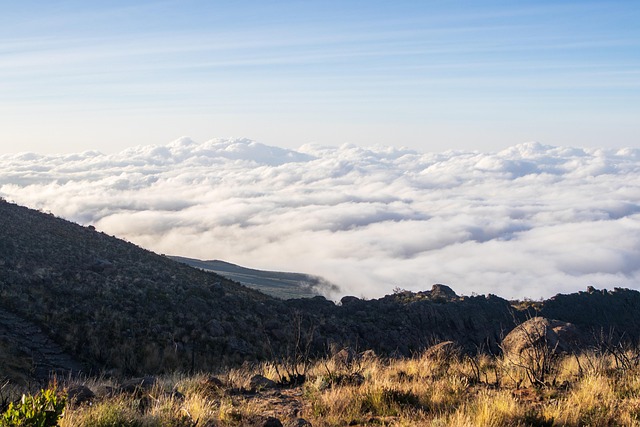 Best Marangu Route Trekking main image