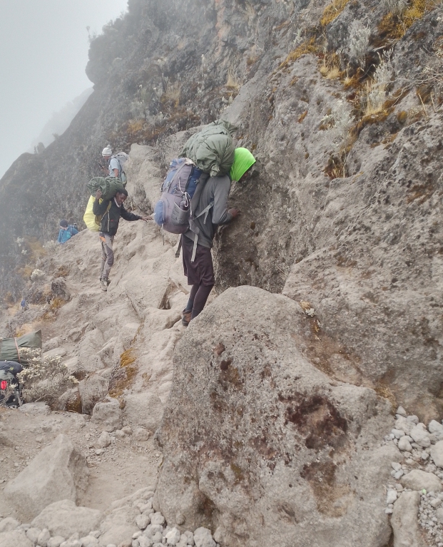 Machame Route Trekking Adventures main image
