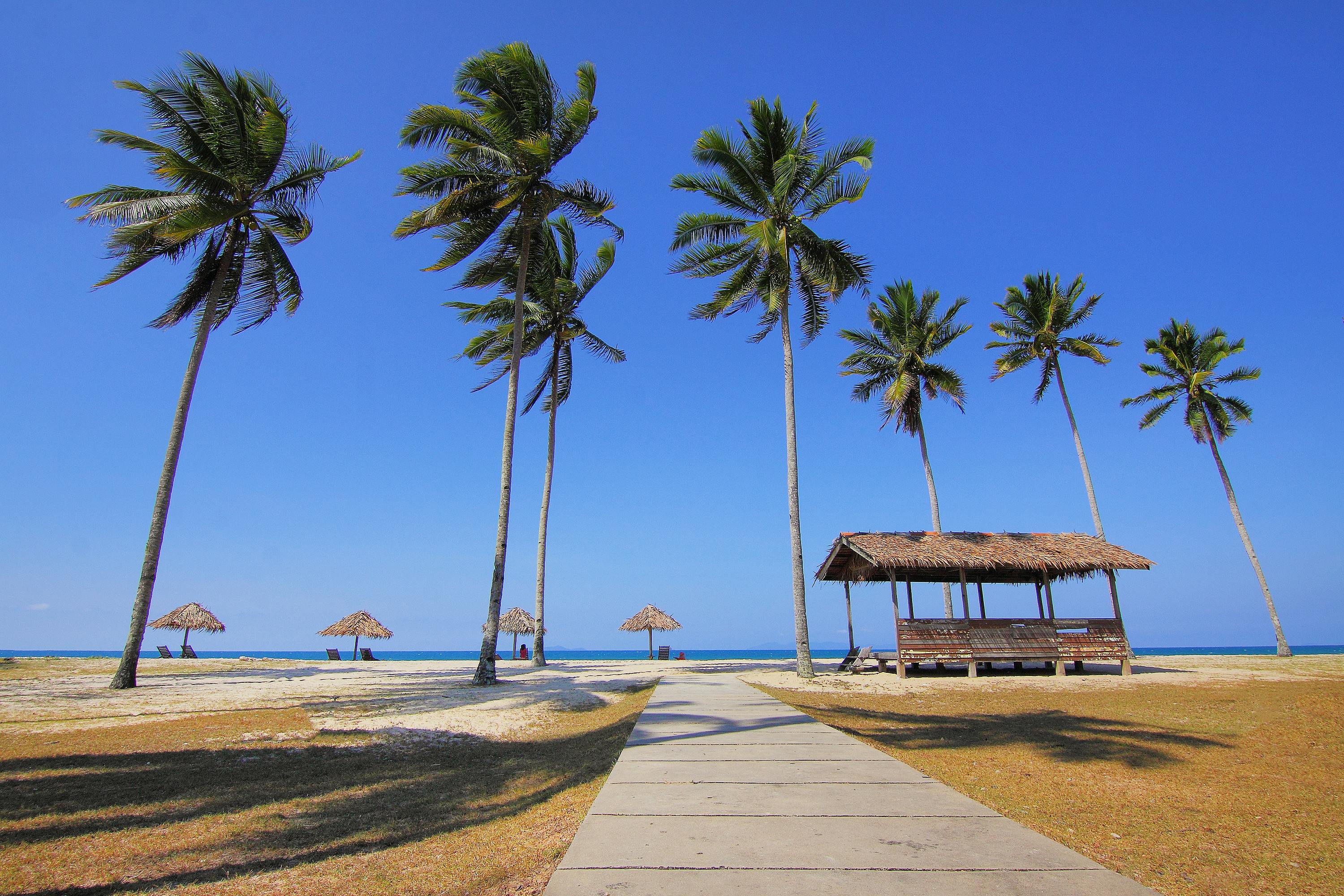 Best Zanzibar Safaris adventures