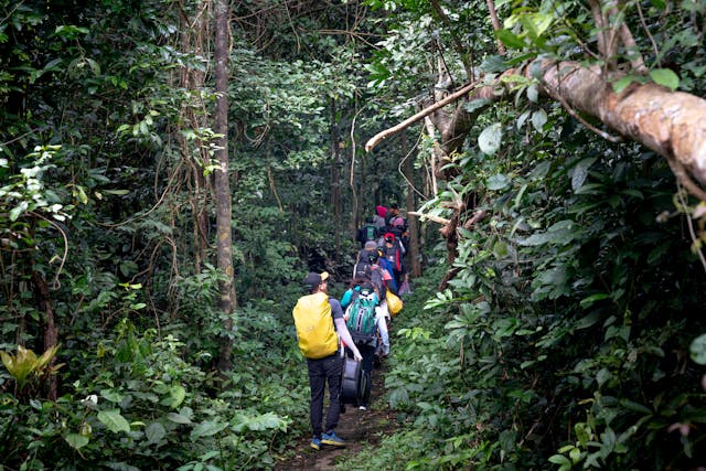 Northern Circuit Kilimanjaro trekking