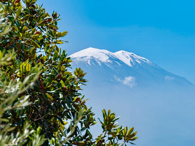 Northern Circuit Kilimanjaro trekking gallery image