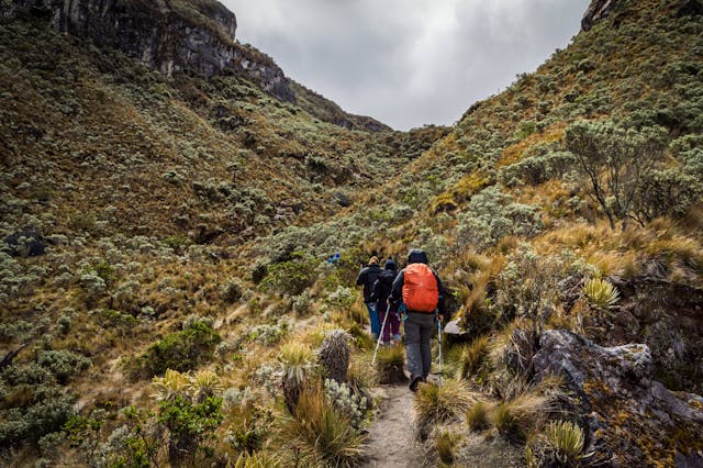 Northern Circuit Kilimanjaro trekking gallery image