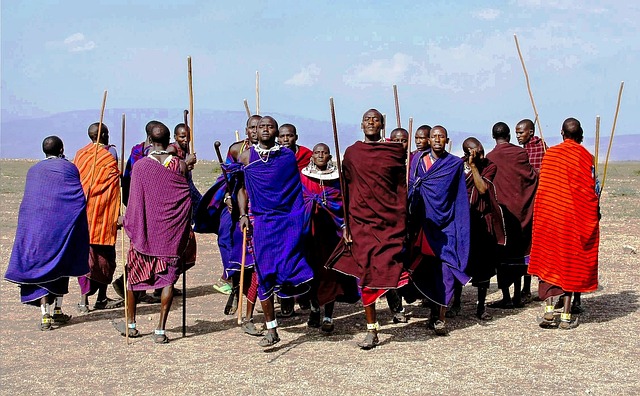 Tarangire - Ndutu Migration & Ngorongoro Crater Safari main image