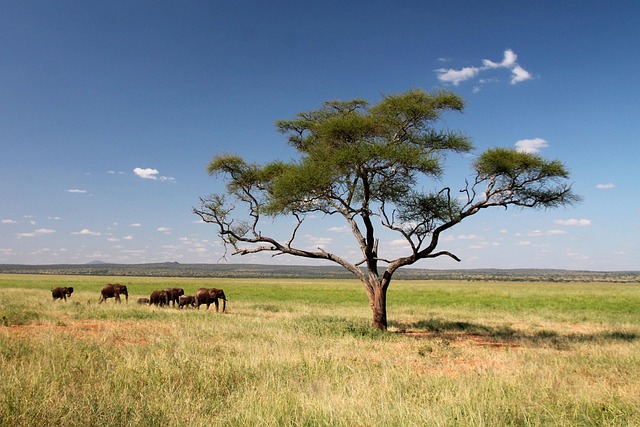 The Best Lake Natron Safaris gallery image