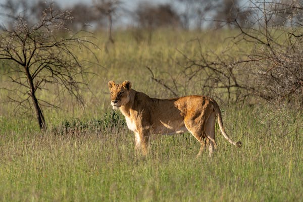 Lake Manyara National Park gallery image