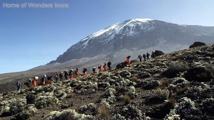 Umbwe route trekking adventures gallery image