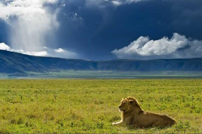 Arusha & Ngorongoro Crater main image