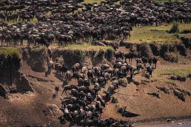 Lake Manyara, Tarangire - Ngorongoro Crater main image