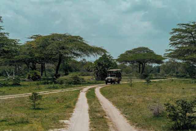 Arusha - Serengeti - Ngorongoro  - Tarangire National Park Safaris main image