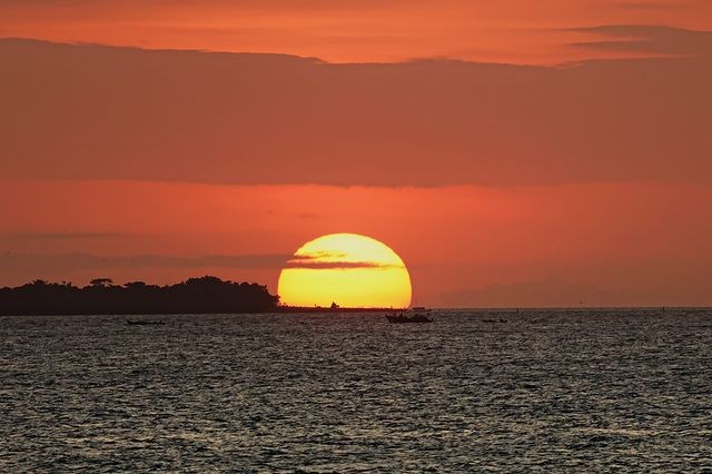 Best Zanzibar Safaris adventures main image