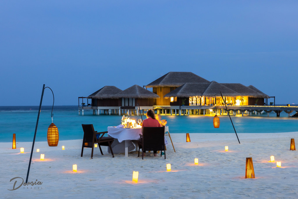 Best Zanzibar Safaris adventures main image