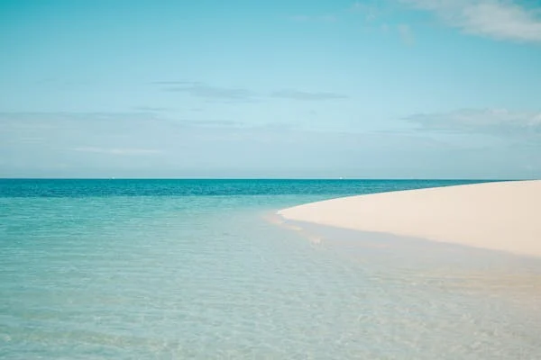 Best Zanzibar Safaris adventures main image