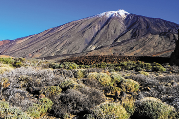 Best Rongai Route Trekking main image