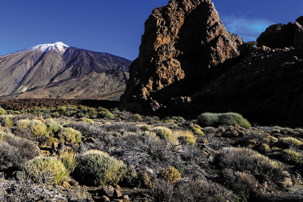 Machame Route Trekking Adventures main image