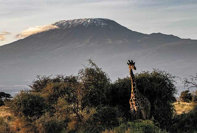 Machame Route Trekking Adventures