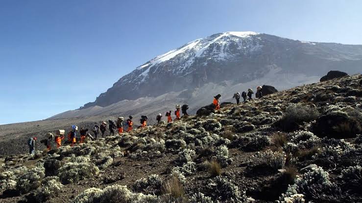 Best Marangu Route Trekking