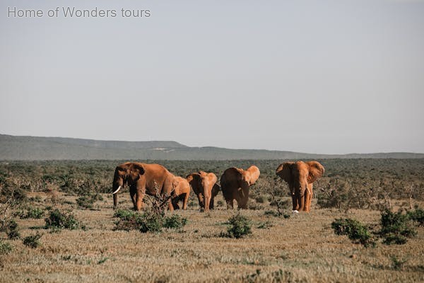 Best Umbwe route trekking main image