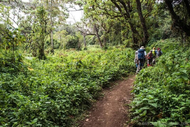 Best Umbwe route trekking