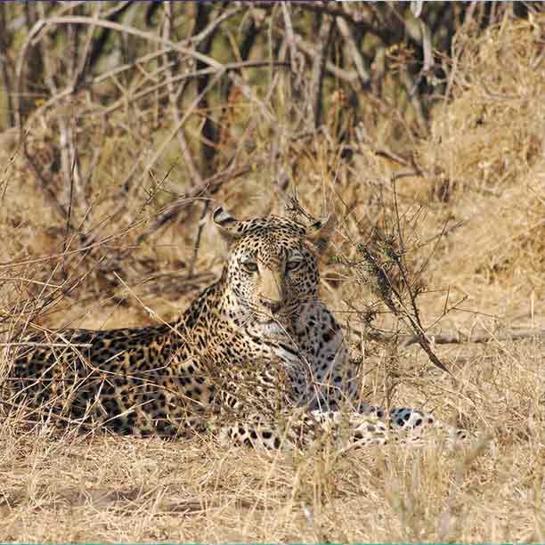 Tarangire and Serengeti National Park gallery image